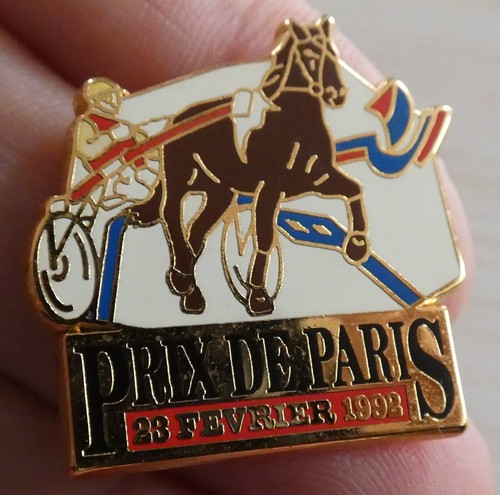 Pin cheval equitation - equitation, sulky