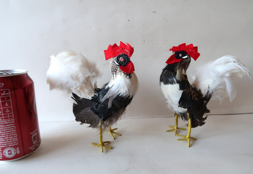 Ferme paire coq en - ferme,