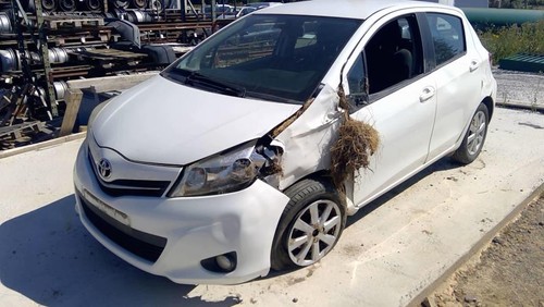 Neiman toyota yaris phase 1 - yaris,