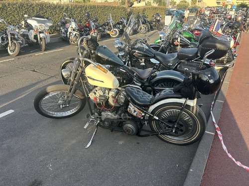 Harley davidson chopper early - harley,