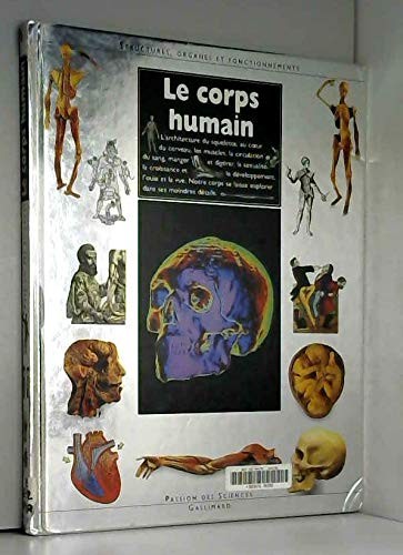 Corps humain structures - le,