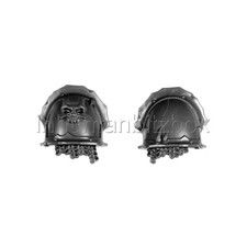 SKTR21 PAIRE EPAULIERE CHAOS