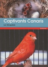 Captivants canaris : canaris de couleurs, de chants, de posture et frisés : pra