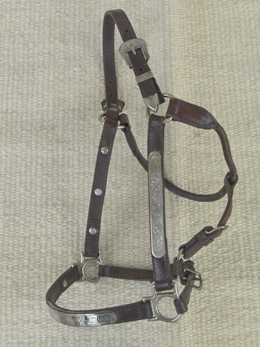 Circle leather western show - y,