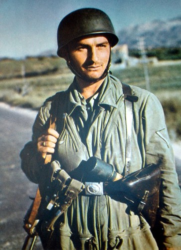 Ww2 fallschirmjager fjr - lw, fj