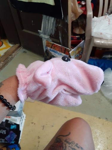 Pig and dog hand - pig,
