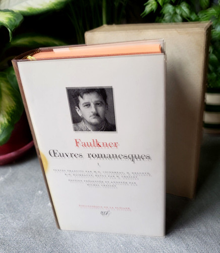 Pleiade oeuvres romanesques - la,