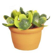 Poupées Maison Vert Plante En