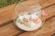 Boules de boule verre 8/10/12/15CM aquarium haute qualité pots de plantes succu