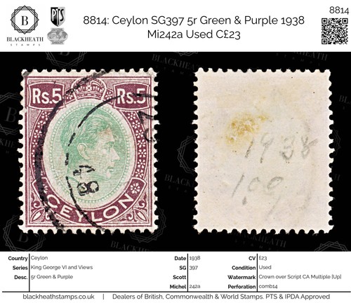 8814 ceylan sg397 vert et - :,