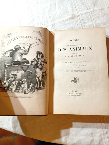 Scenes vie privee et - vie,