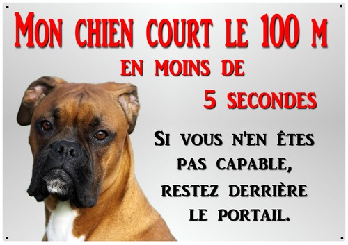 Plaque chien métal boxer x - métal,