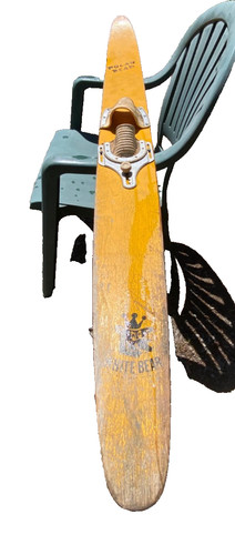 White bear waterski vintage - bear, waterski,