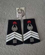 Paire de fourreaux d'épaule