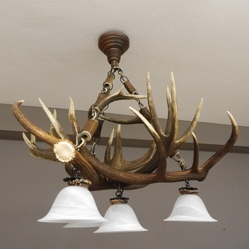 Lampe bois cerf - lampe, de