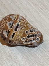 Boite en Bois de Corozo à Chapelet , Ancienne XIXeme