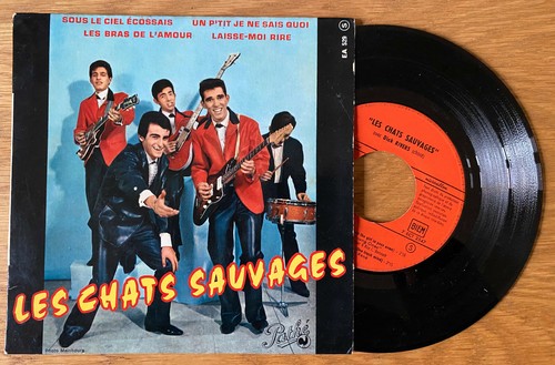 Les chats sauvages sous le - sauvages,