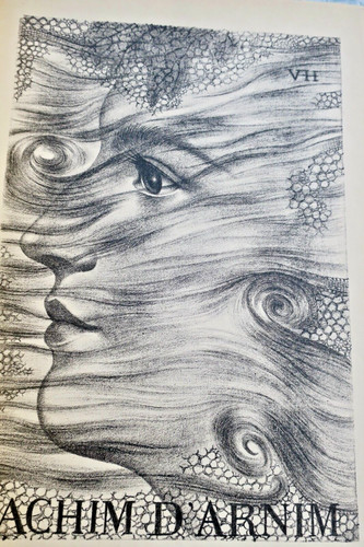 Hugo arnim contes - arnim, d')