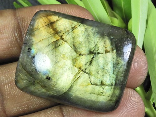 Cabochon rectangulaire - , en