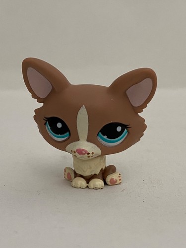 Petshop chien corgi n - -, n°