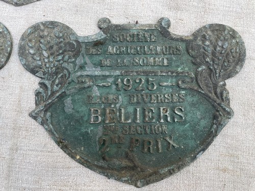 Grande plaque concours - grande, de