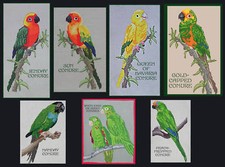 Conure Counted Cross-Stitch