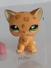 Authentique Petshop Chat Européen 1120 avec accessoire