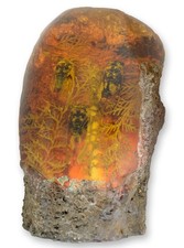 La cigale artificielle ambre