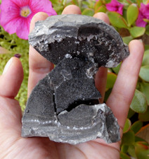 Quartz Herkimer s/ Septaria