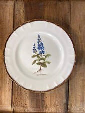 Vintage French Botanical Faïence Plate - Faiences -Haute Provence