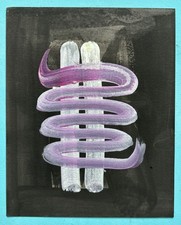 Ervin NEUHAUS (1928-2012)