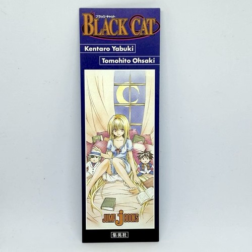 Chat noir anime manga art