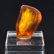 Ambre de la Baltique avec