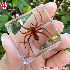 1pc insecte résine - insecte,
