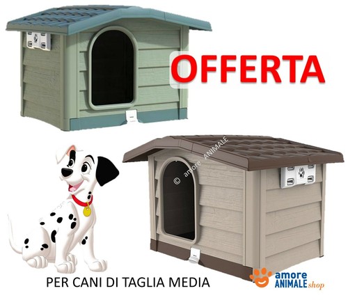 Caisse pour chiens taille - caisse,