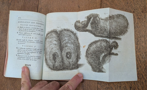 Livre ancien journal - livre, de