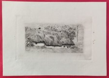 Gravure: Petite Fermette au toit de chaume Maison Campagne