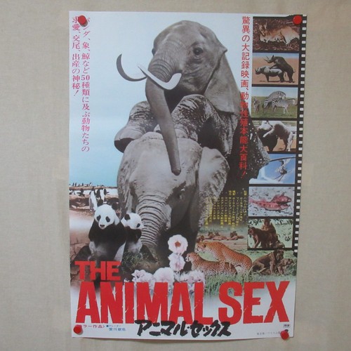 Sex and the animals - and,