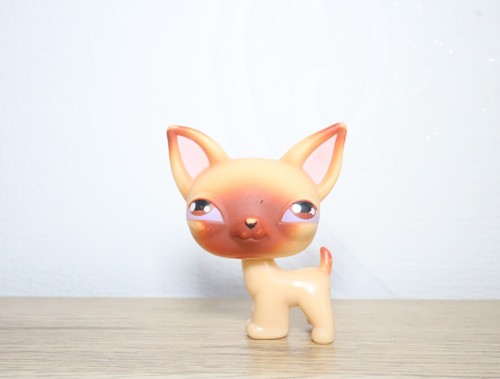 Littlest petshop chihuahua 01 - littlest,