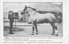 CPA 29 BRETAGNE HIPPIQUE JUELL POULAIN DE TRAIT A M.CHEFF ELEVEUR A LANGOJAR