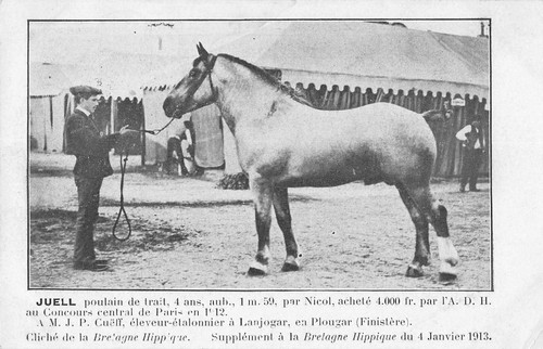 Cpa bretagne hippique juell - 29,