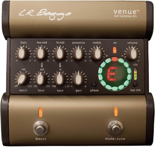 Baggs venue acoustic - venue,