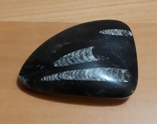 Pierre noire fossile - noire,