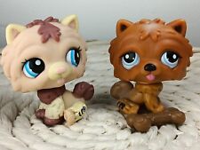 petshop authentic LPS Couple chien Chow Chow Puppy dog rare #1636 #1831 hasbro