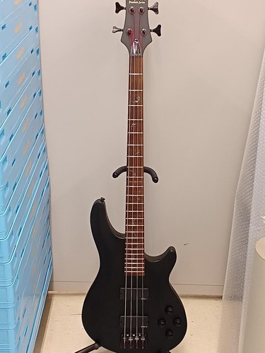Guitare basse - (schecter),