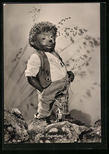 Carte postale mecki attente - carte,