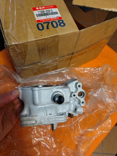 Suzuki rgv 250 rgv250 - suzuki,