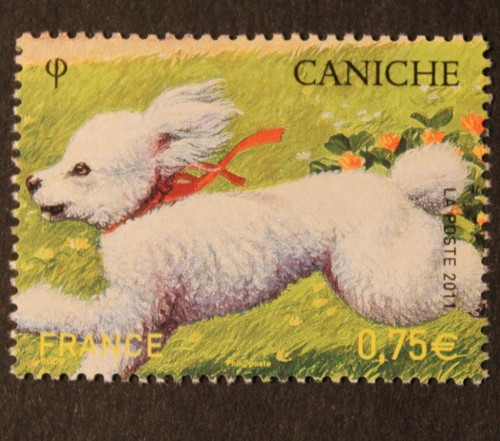 Timbre france caniche - -,