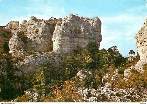 Carte postale - postale,