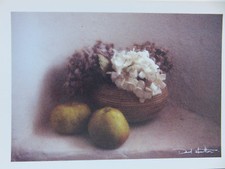 Carte Postale    DAVID